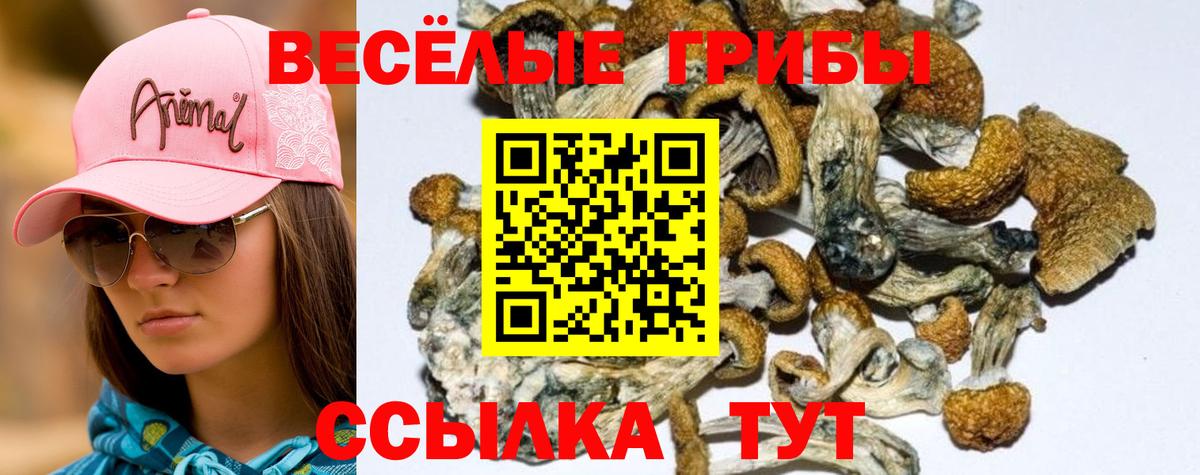 Галлюциногенные грибы MAGIC MUSHROOMS Альметьевск