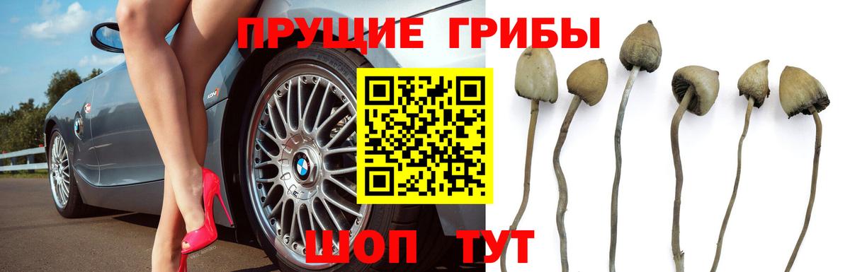 Альметьевск  цена наркотик  Вход с VPN  Галлюциногенные грибы Magic Shrooms 